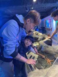 遊覽大笨鐘倫敦眼海洋館行程