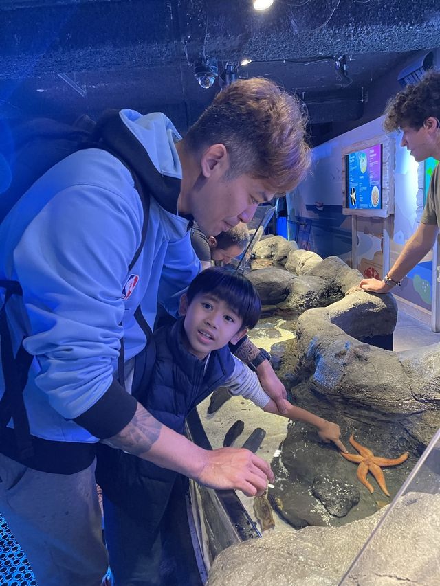 遊覽大笨鐘倫敦眼海洋館行程