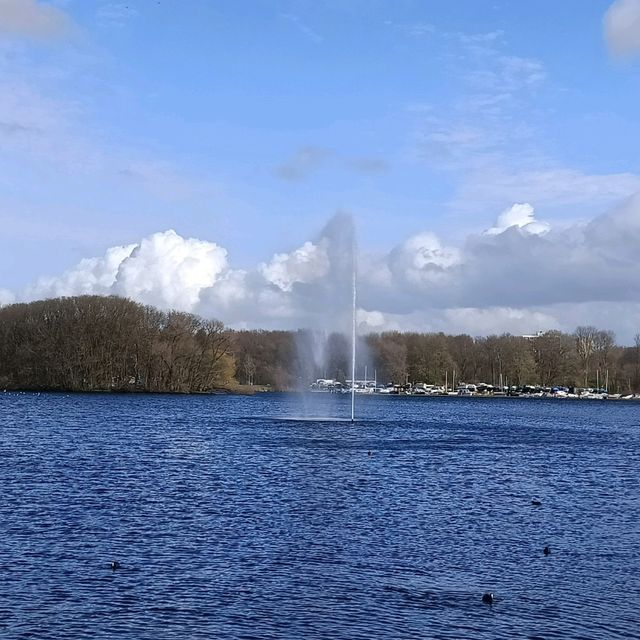 Nature in Amsterdam 