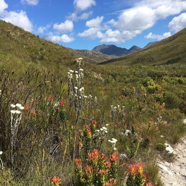 Cape Town, South Africa