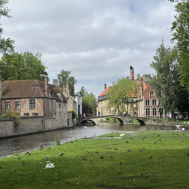 Half-Day Escape from Brussels to Bruges