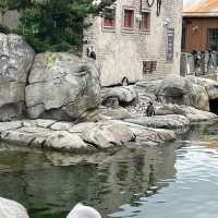 The Maryland Zoo in Baltimore 🇺🇸