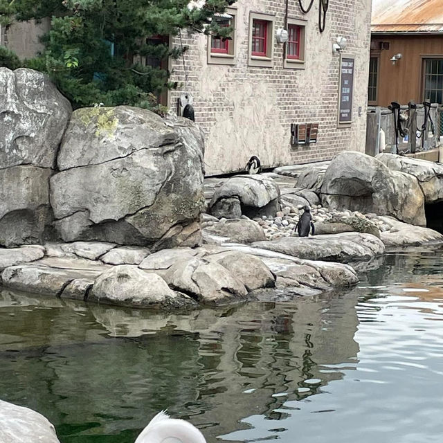 The Maryland Zoo in Baltimore 🇺🇸