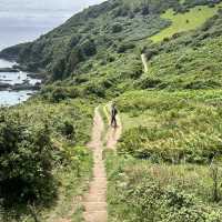 Looe to Polperro, a great Cornish costal walks