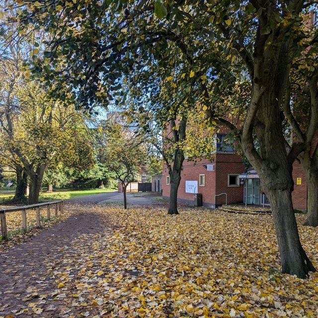 Bedford - Autumn Vibes - 1hr away from London 
