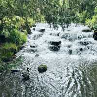 Winters pool 