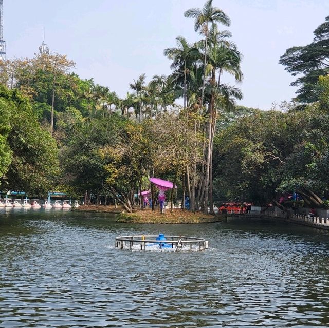 Yuexiu park 🏞 a place for relaxing and meditation❤️