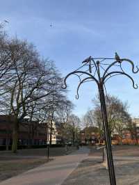 Swanswell Park and Pool: A Serene Escape in Coventry