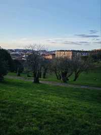 🌿 Gijón’s Parks – A Breath of Fresh Air! 🌳