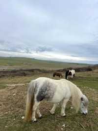 Seven Sisters Hike: A Breathtaking Coastal Adventure