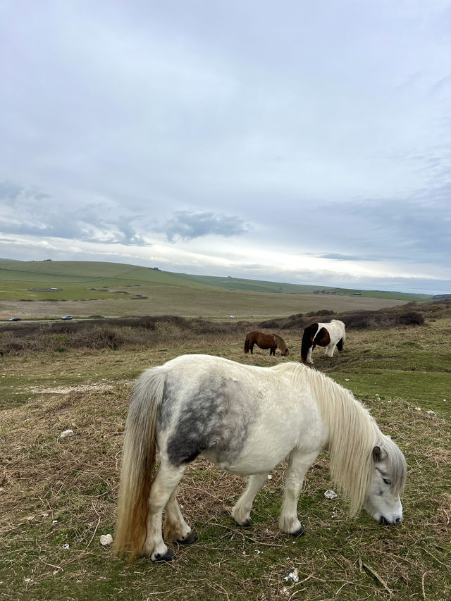 Seven Sisters Hike: A Breathtaking Coastal Adventure