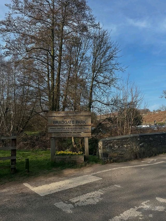 🌳🦌 Discover the Beauty of Bradgate Park in Leicester! 🏞️