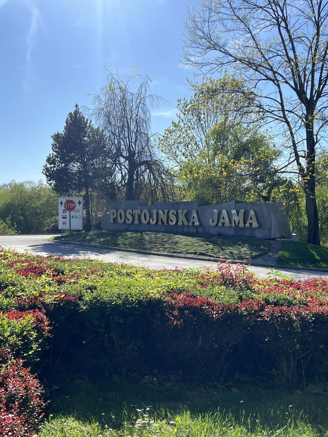 🇸🇮 波斯托伊納溶洞（Postojnska jama） 💧