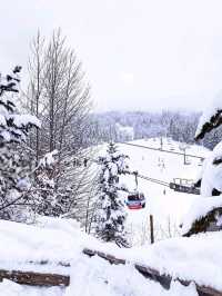 Whistler: Where Adventure Meets Alpine Beauty