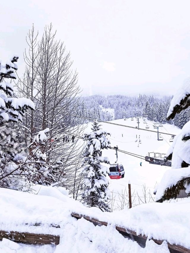 Whistler: Where Adventure Meets Alpine Beauty