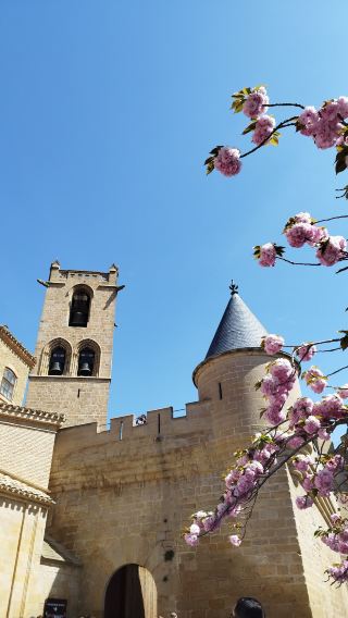 🏰 Day trip to Olite from Pamplona – medieval charm & royal history