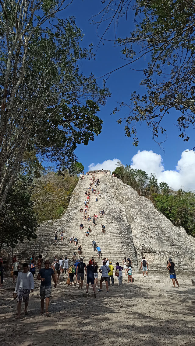 11 Days of Magic – Your Perfect Mexico Itinerary ☀️🌴🌺
