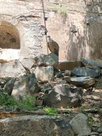 Yerevan Zoo