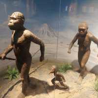 Dinosaurs, nice exhibitions in Natural History Museum of China 