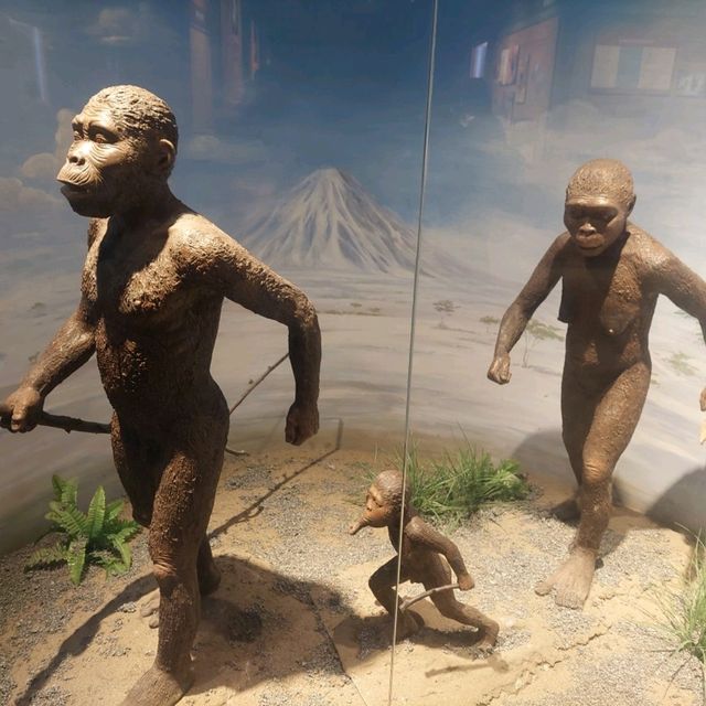 Dinosaurs, nice exhibitions in Natural History Museum of China 