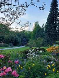 🌳 Hanover: Where Royal Gardens Meet Modern Rhythm 