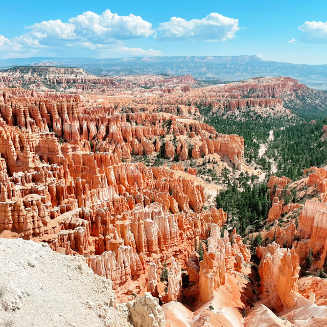 The Mighty 5 in 5 Days: Utah’s Ultimate Road Trip