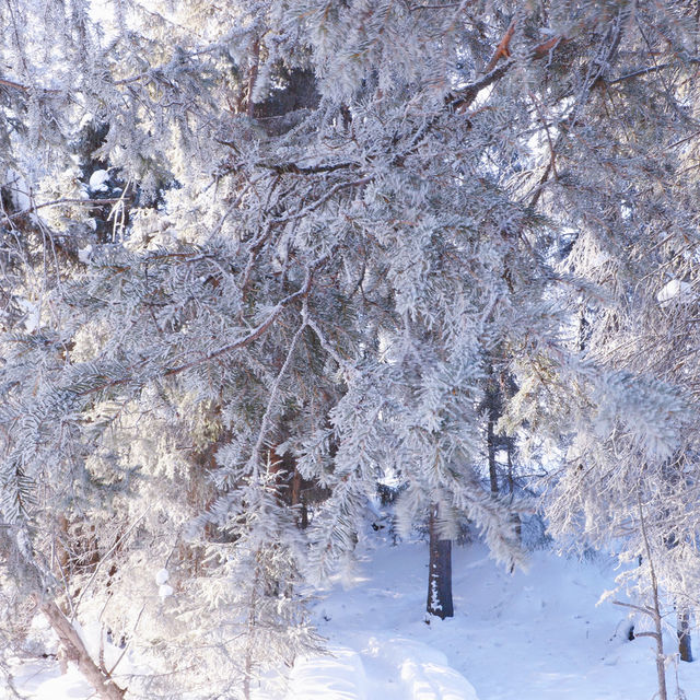 Kanas in Winter: A Frozen Fairy Tale of Snowbound Adventures