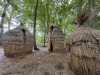 Art sculptures lost in a forest