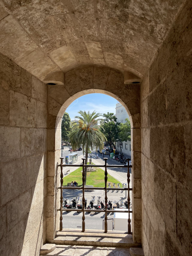 Valencia: Sun, History & Mediterranean Vibes ☀️🏛️🌊 Valencia: Sun, History & Mediterranean Vibes ☀️🏛️🌊