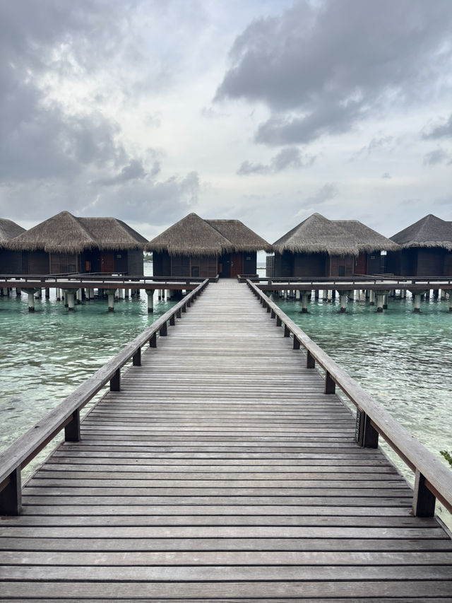 Maldives Dream🌴 Maldives Dream🌴