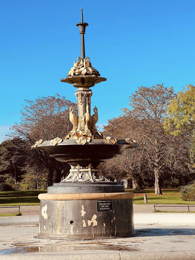 🍁 Albert Park – Autumn Paths Under Towering Trees 🌳 🍁 Albert Park – Autumn Paths Under Towering Trees 🌳