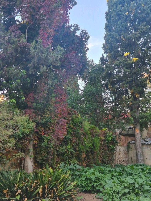 Cloudy Streets Vibes☁️