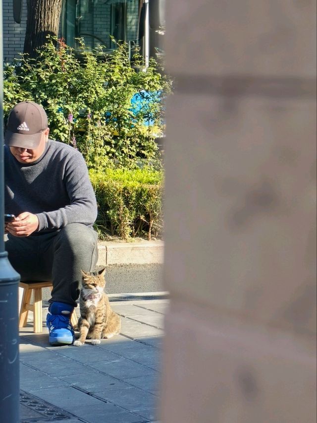 Гайд по Пекину: Аутентичные хутуны,Храм Белой Ступы и аптека Гайд по Пекину: Аутентичные хутуны,Храм Белой Ступы и аптека