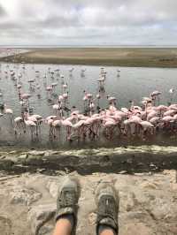 Намибия: дикая, красивая и удивительно доступная