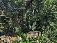 Muttart Conservatory