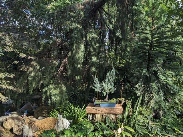 Muttart Conservatory