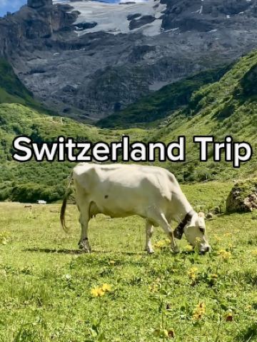 高山湖泊與草甸步道