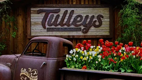 🌷 Tulleys Tulip Farm — Where Tradition, Hospitality & Sustainability Bloom 🇬🇧 — traveler post in Crawley