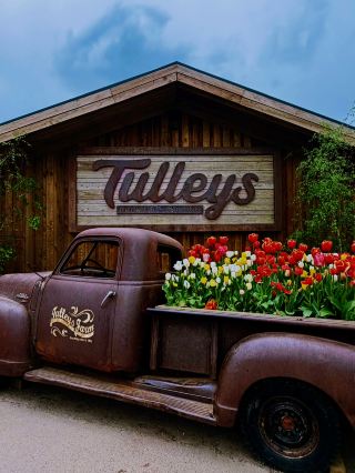 🌷 ฟาร์มทิวลิป Tulleys — ที่ซึ่งประเพณี การต้อนรับ และความยั่งยืนเบ่งบาน 🇬🇧