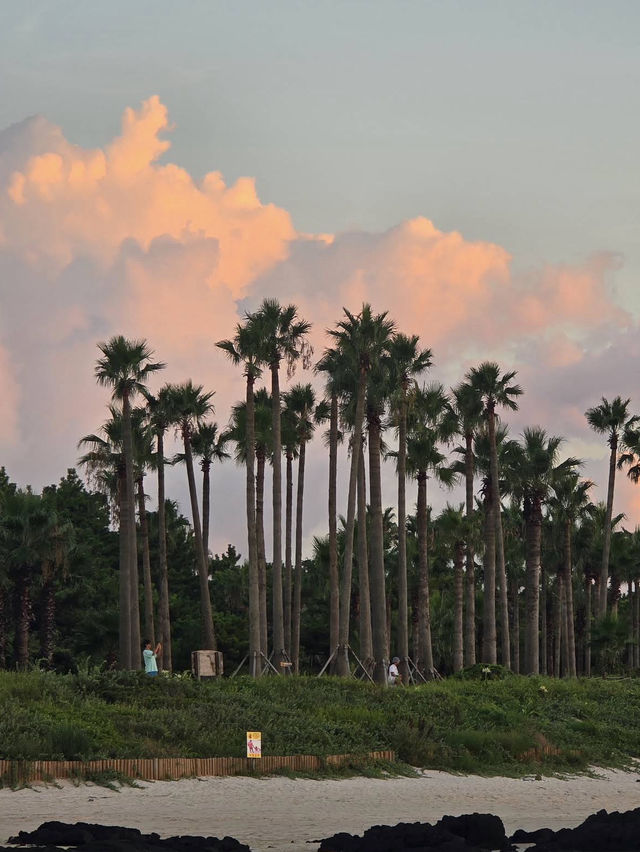 Jeju Island 
