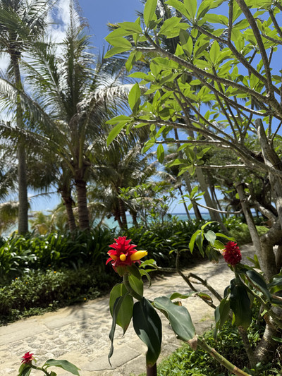 THE MOST POPULAR HOTEL IN OKINAWA! MOON BEACH. | Trip.com Onna