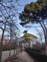 Madrid's Retiro Park, Prado Museum