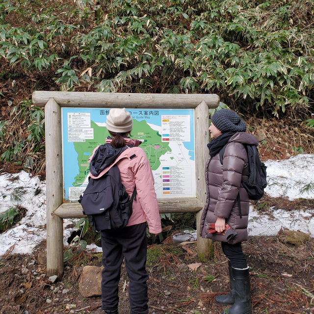 Hiking, trekking @ Mt. Hakodate