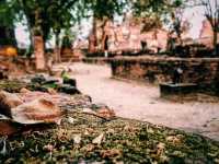 Ayutthaya: Amidst the hustle and bustle of the world, as the sun sets and the journey comes to an end, the glory of a hundred years is but a fleeting cloud of smoke.