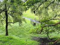 Trekking in Scotland 🏴󠁧󠁢󠁳󠁣󠁴󠁿