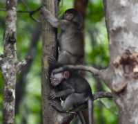 Discover the Beauty of Kilim Geoforest Park