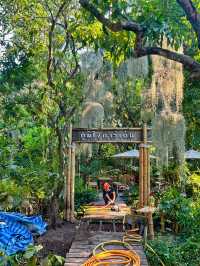 Coffee + Nature = Natura Cafe