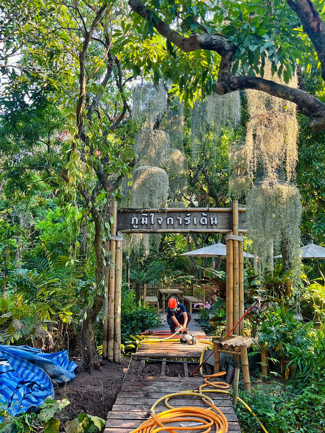 Coffee + Nature = Natura Cafe