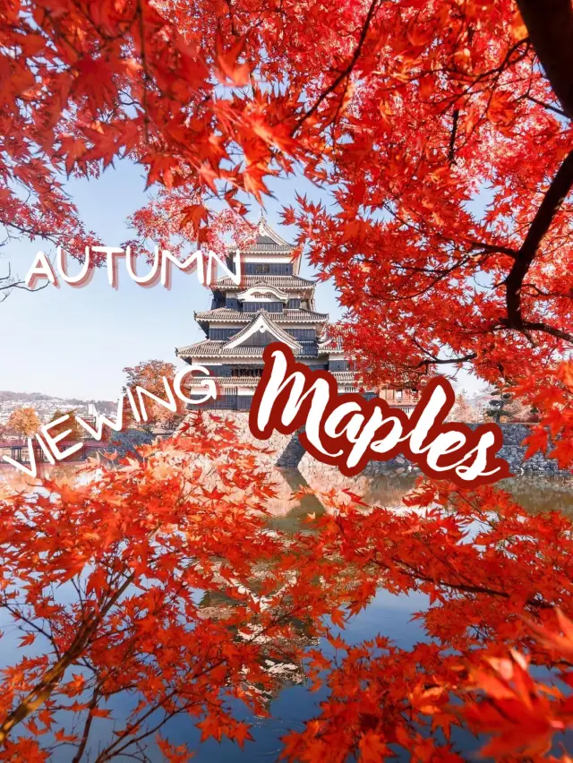 Autumn Whispers: Enchanting Escapes🍁