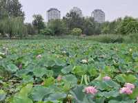 夏天的水上公園，真的是yyds